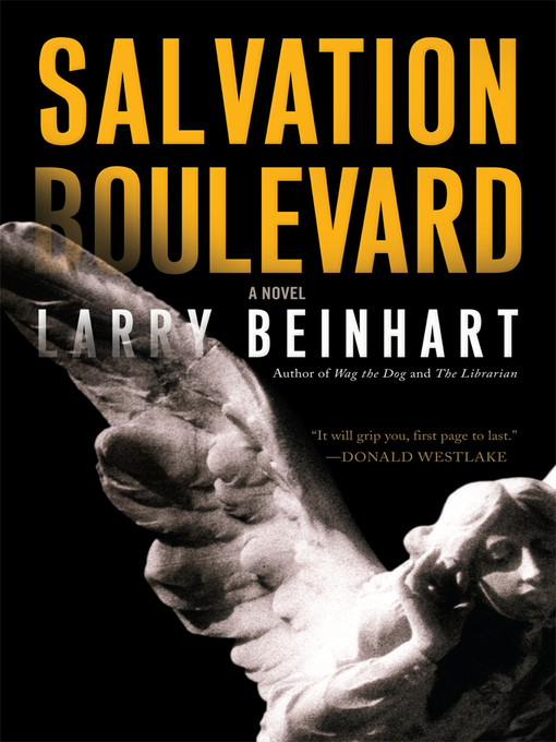 Salvation equation novel